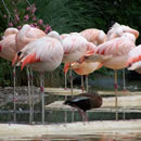 ip攻击器网页版